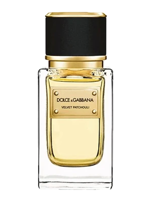 Dolce & Gabbana Velvet Patchouli