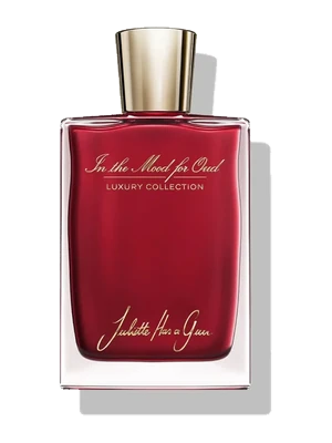 Image de In the Mood for Oud