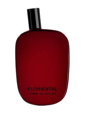 Comme des Garçons Floriental