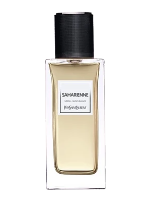 Yves Saint Laurent Saharienne