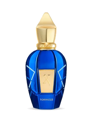 Torino23