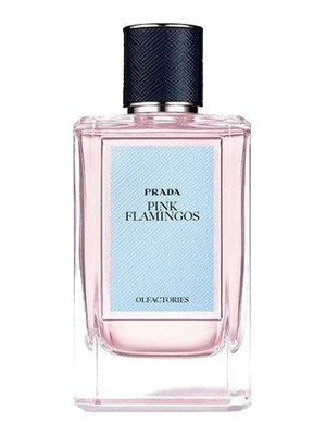 Prada Pink Flamingos