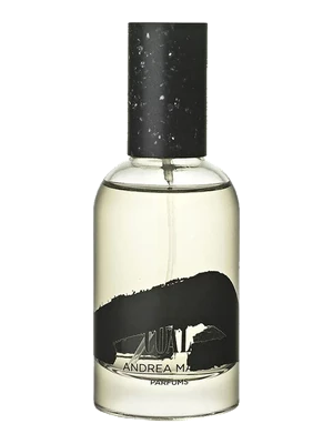 Andrea Maack Coal