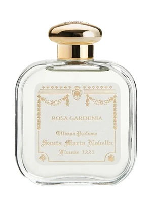Rosa Gardenia