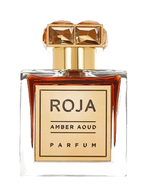 Image de Amber Aoud