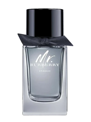 Mr. Burberry Indigo