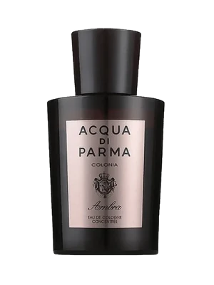 Colonia Ambra