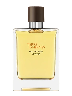 Hermès Terre d'Hermès Eau Intense Vétiver