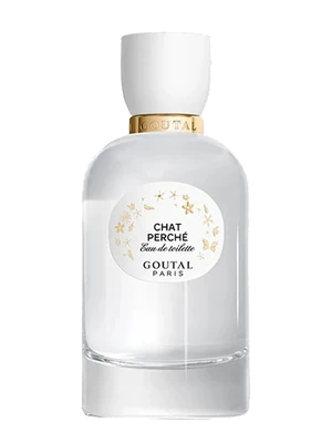 Chat Perché