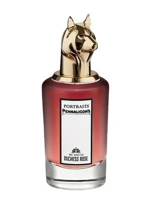 Duchess Rose