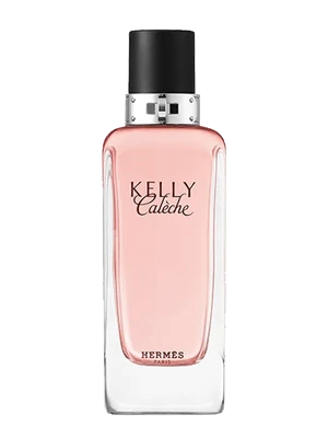 Hermès Kelly Calèche
