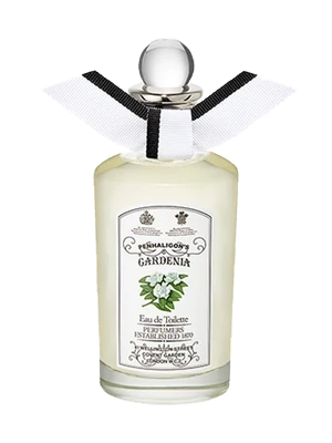 Image de Gardenia