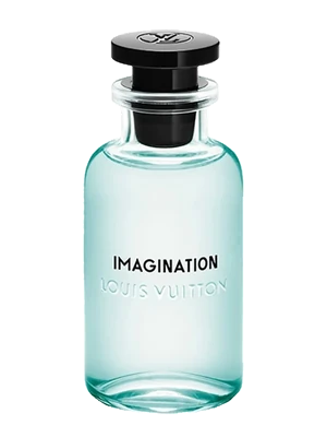 Imagination