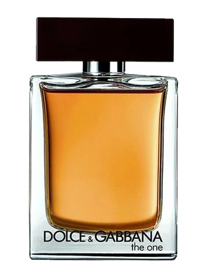 Dolce & Gabbana The One for Men