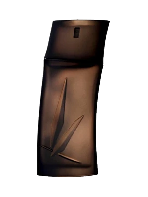 Homme Boisee