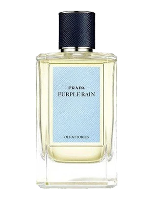 Prada Purple Rain