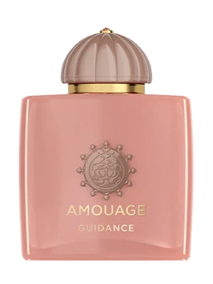 Amouage Guidance