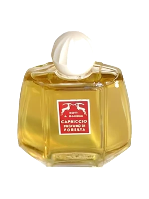 Santa Maria Novella Foresta