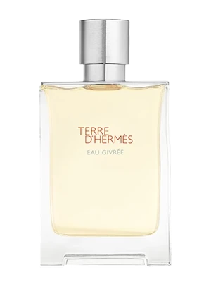 Hermès Terre d'Hermès Eau Givrée