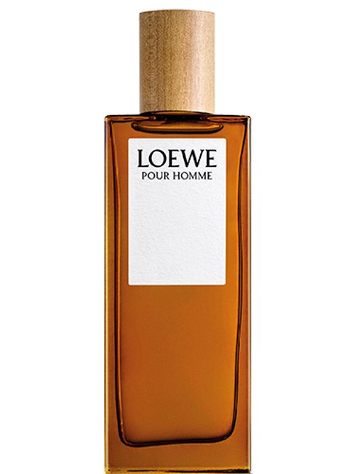 Loewe pour Homme