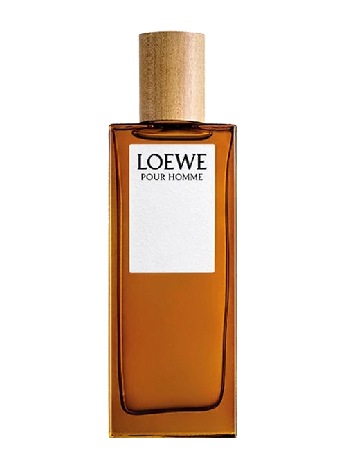 Loewe pour Homme