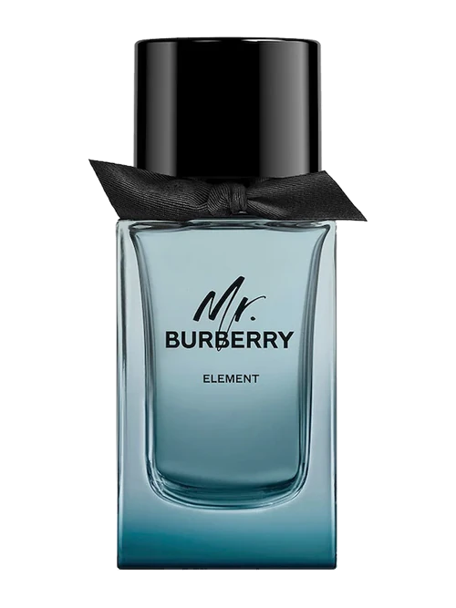 Burberry Mr. Burberry Element
