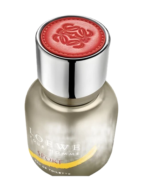 Loewe pour Homme Sport