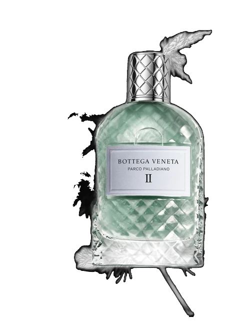 Bottega Veneta Parco Palladiano II: Cipresso