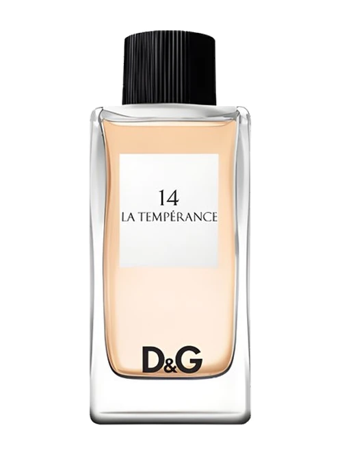 Dolce & Gabbana D&G Anthology La Temperance 14