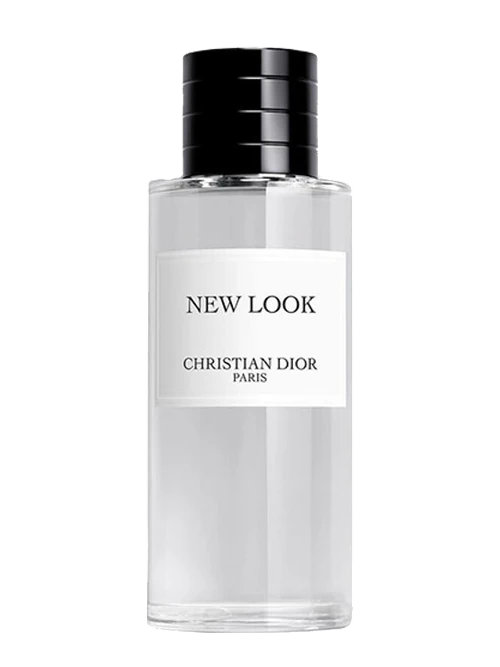 Dior New Look