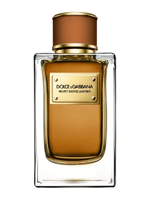 Dolce & Gabbana Velvet Exotic Leather