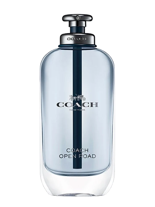 Coach Open Road