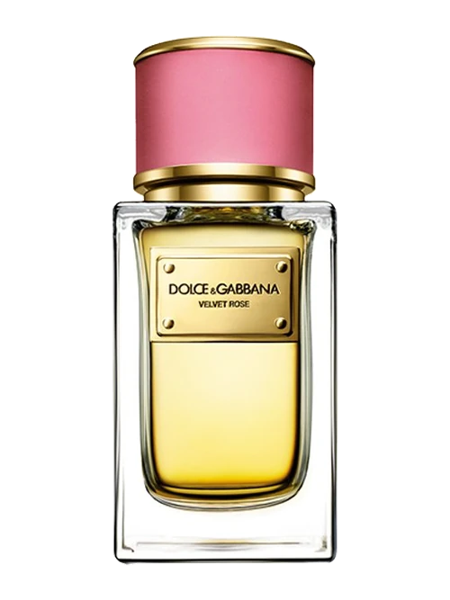 Dolce & Gabbana Velvet Rose