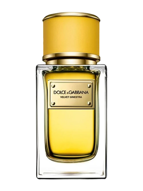 Dolce & Gabbana Velvet Ginestra