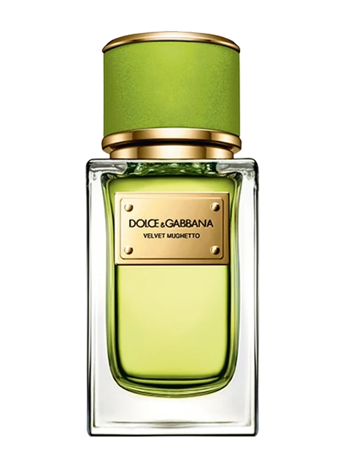 Dolce & Gabbana Velvet Mughetto