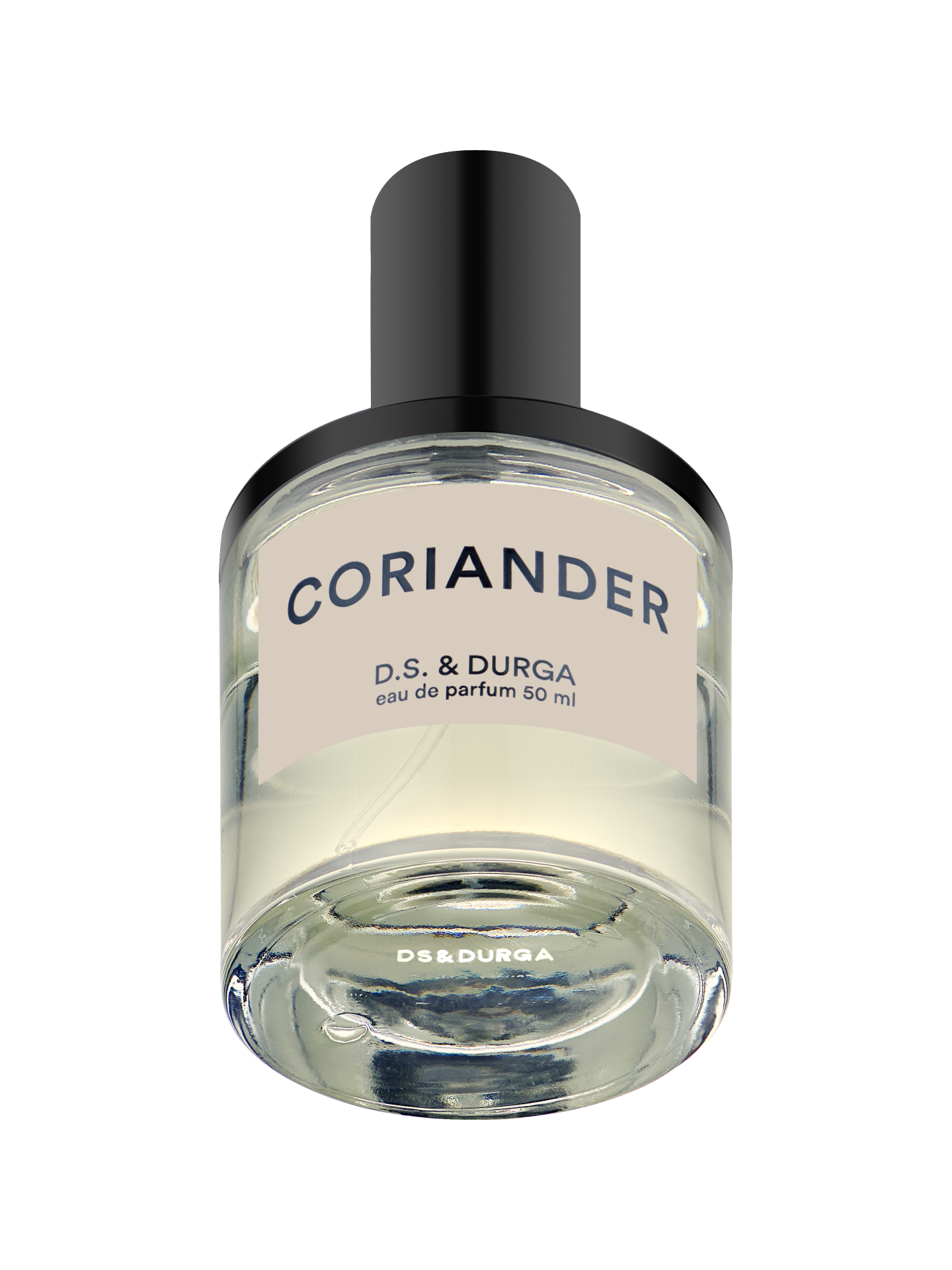 Coriander