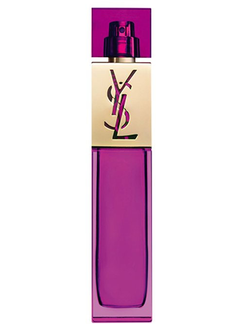 Yves Saint Laurent Elle