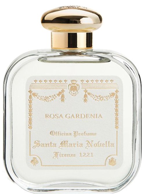 Rosa Gardenia