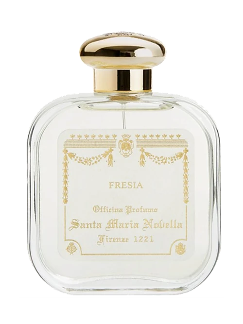 Santa Maria Novella Fresia