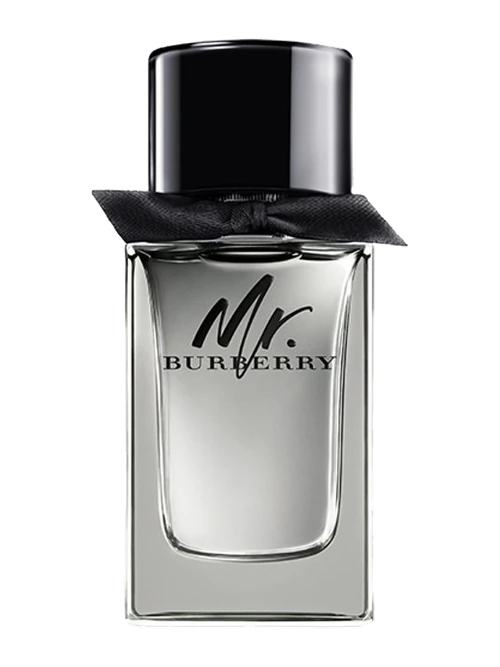 Burberry Mr. Burberry