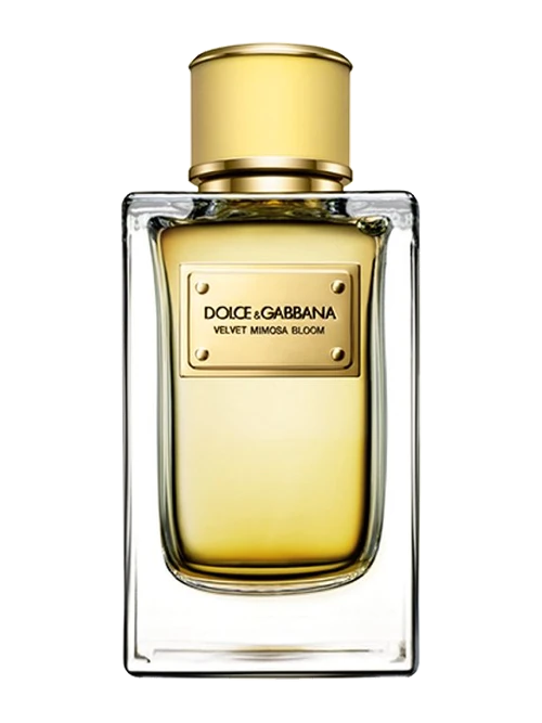 Dolce & Gabbana Velvet Mimosa Bloom