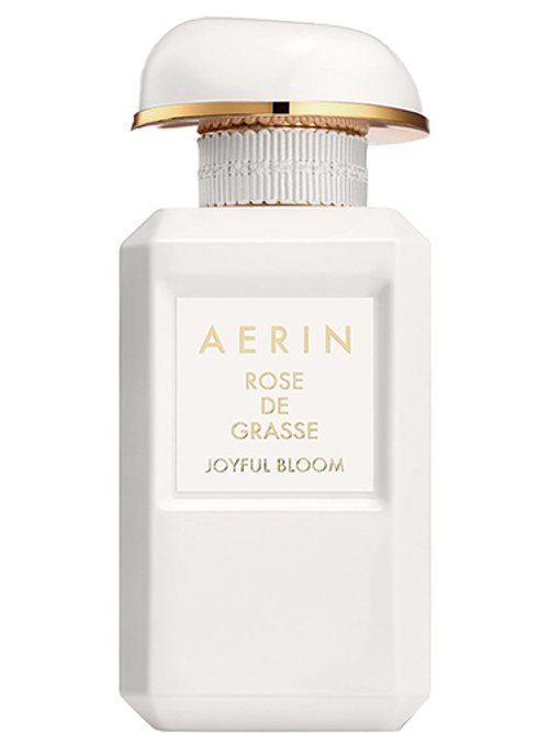 Rose de Grasse Joyful Bloom