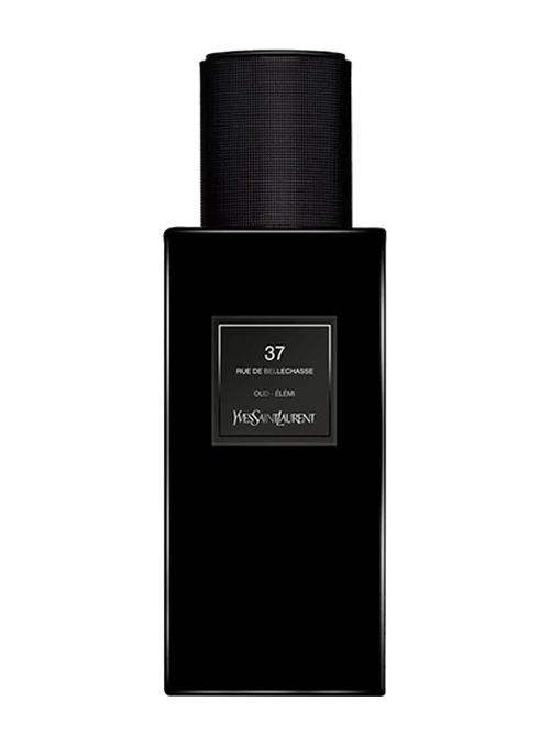 Yves Saint Laurent 37 Rue de Bellechasse
