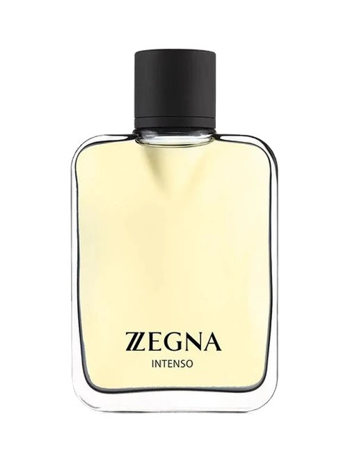 Ermenegildo Zegna Zegna Intenso