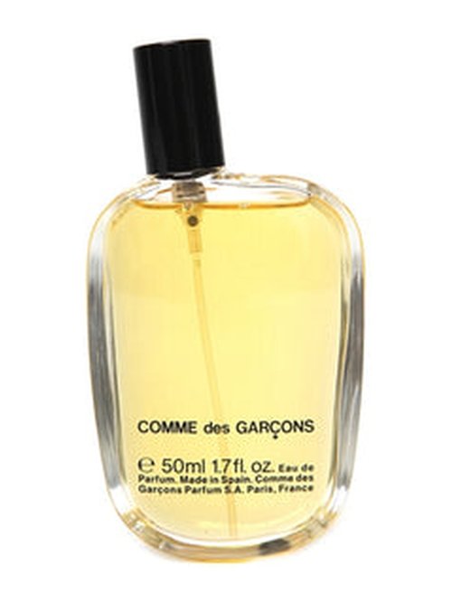 Comme des Garçons Ironing