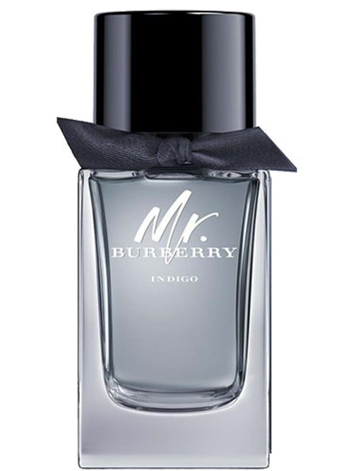 Burberry Mr. Burberry Indigo