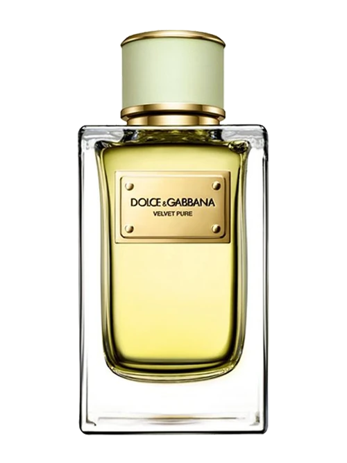 Dolce & Gabbana Velvet Pure