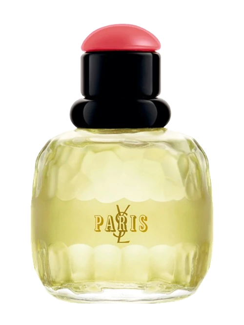 Yves Saint Laurent Paris