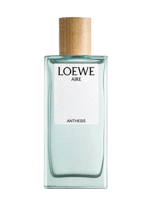 Loewe Aire Anthesis