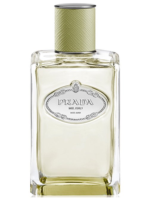 Infusion de Vétiver